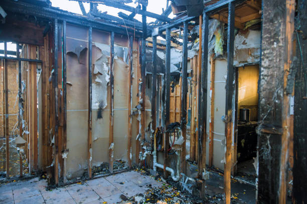 Professional Smoke Damage Removal technician working in Abingdon, MD